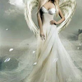 Screenshot 20230725 024934.png