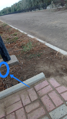 IMG 20230725 073615.jpg