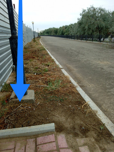 IMG 20230725 073642.jpg