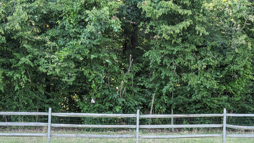 PXL 20230723 191730809