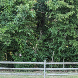 PXL 20230723 191730809