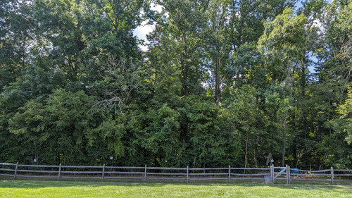 PXL 20230723 191716359