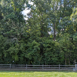 PXL 20230723 191716359