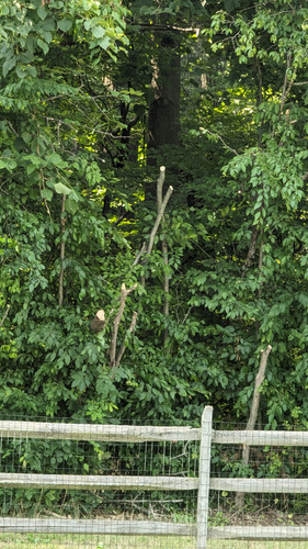 PXL 20230723 192509364