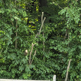 PXL 20230723 192509364