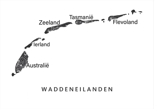 IMG 4191.png