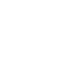 cargo new 256.png