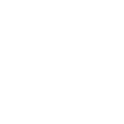 bradley new v2 256.png