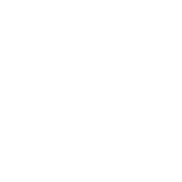 ch47 new 256.png