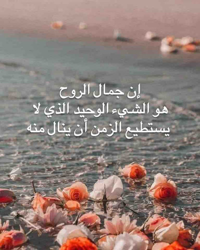 A5701943 011C 4019 89FA DE9E3A1D6299.jpg