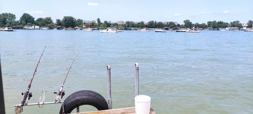 IMG 20230723 132930.jpg