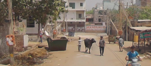 screenshot www.google.com 2023.07.23 16 17 00.png