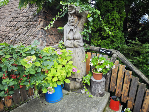 IMG 20230722 174409.jpg