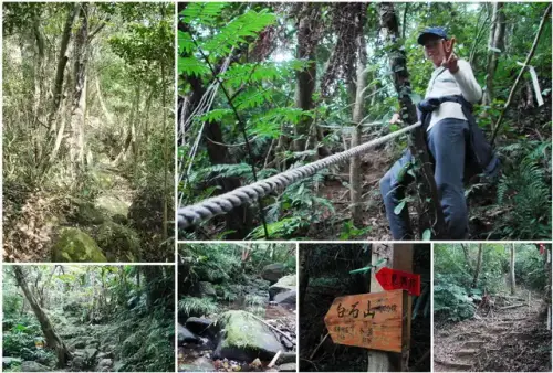 00008 白石山登山步道