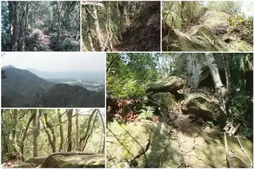 00006 石龜坑山步道.webp