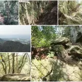 00006 石龜坑山步道