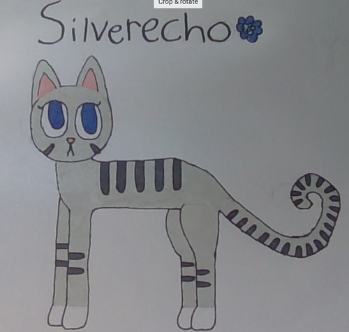 Screenshot 2023 07 22 3.17.17 PM.png