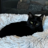 Screenshot 2023 07 22 3.26.06 PM.png