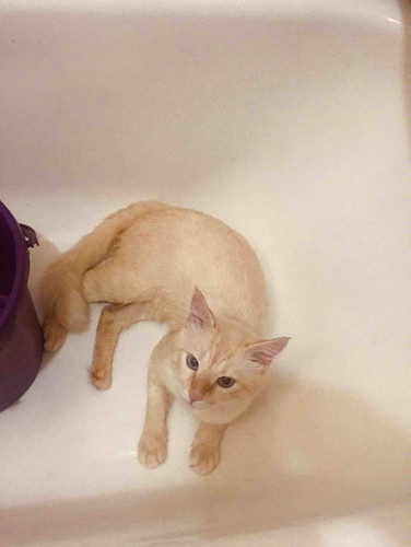 76AC86E6 A393 4F11 AB41 5F3CB6B0E8A1.jpg