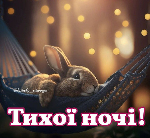 1690066844 1034530417.jpg