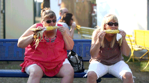 d13361 20120831 20120830fair06.gif