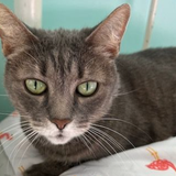 Screenshot 2023 07 22 3.26.27 PM.png