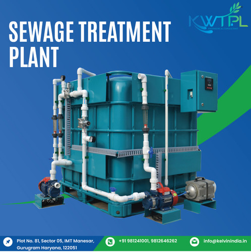 STP PLANT FEATURE.jpg