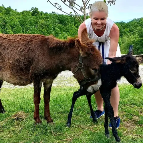 img 1 1690205790945.webp