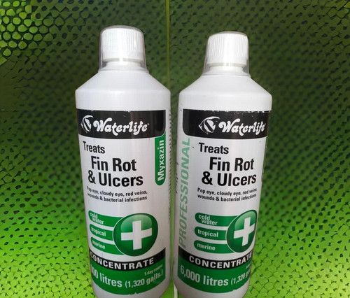 IMG 20230715 152232.jpg