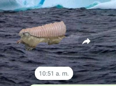 imagen 2023 07 24 113123192.png