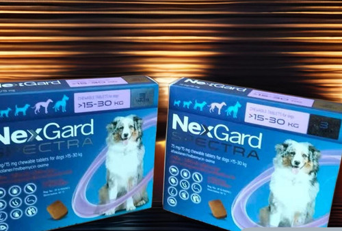 IMG 20230715 151918.jpg