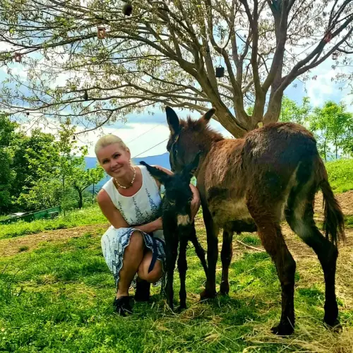 img 1 1690204044675.webp