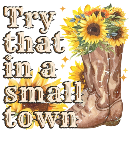 Try That In A Small Town 4200x4800.png
