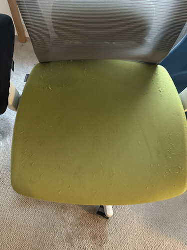 81747FF6 9ACC 4365 821F 4BB37D7AA683 1 102 o.jpg