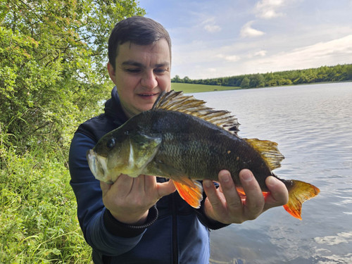 received 585204087079480.jpg