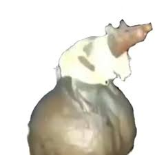 26f550107c06.png