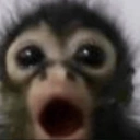 4x.png