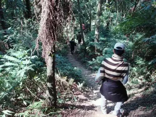 17 草嶺山步道.webp