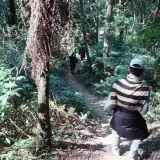 17 草嶺山步道