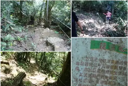11 龍過脈步道.webp