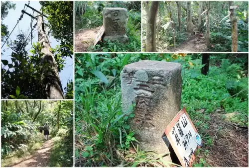 18 草嶺山.webp