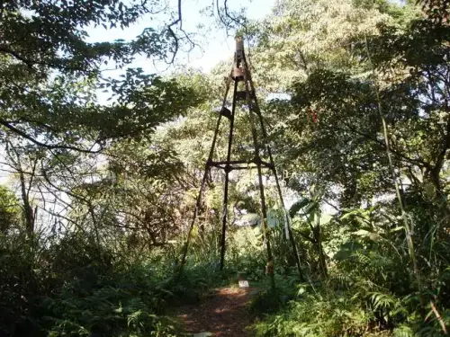 19 草嶺山.webp