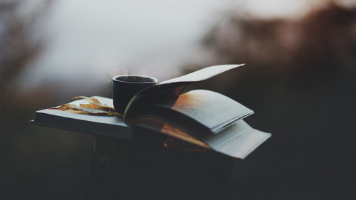 4550481 coffee fall depth of field books leaves.jpg