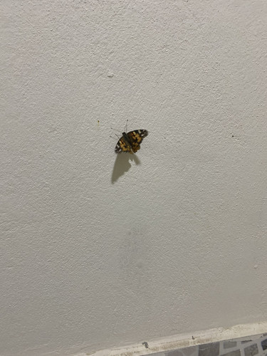 40D834B9 6CCD 42DE ACA4 44FC3F509126.jpg