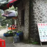 青春嶺通往竹子湖的道路