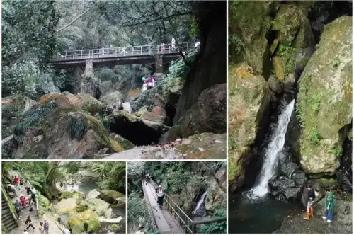 陽明山後山公園 (2).webp