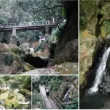 陽明山後山公園 (2)