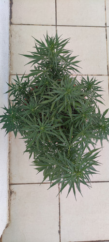 IMG 20230721 154141.jpg