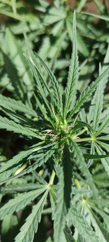 IMG 20230722 152005.jpg