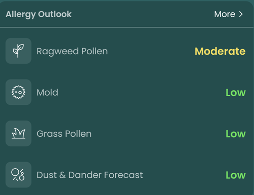 Screenshot 20230722 082454